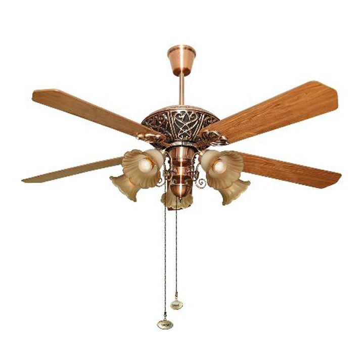 Wide Variety of Ceiling Fan